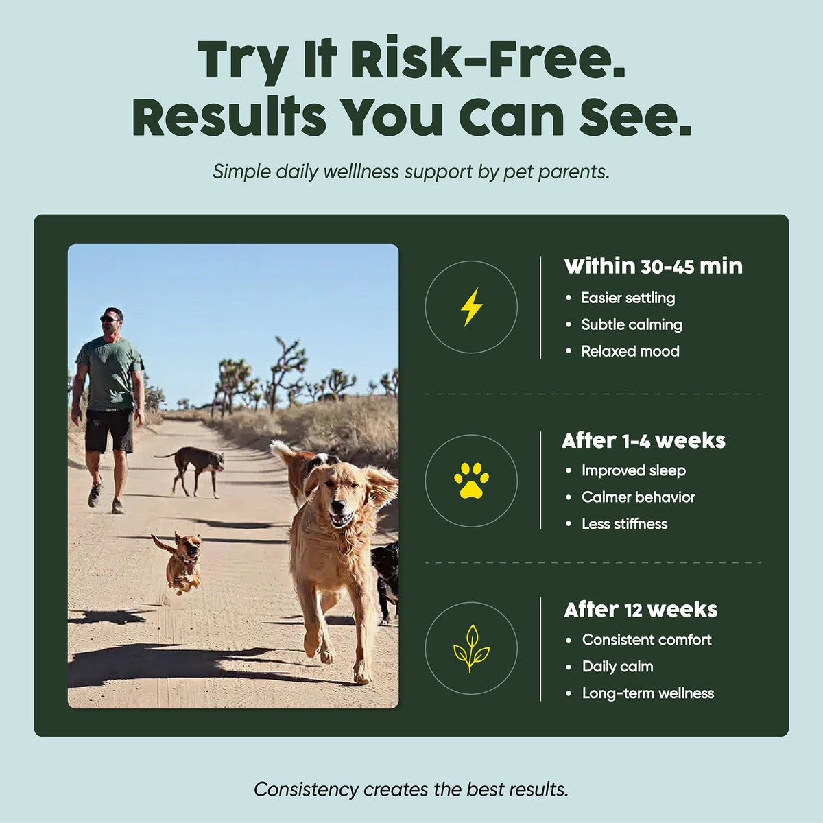 250mg CBD Isolate Oil - For Pets