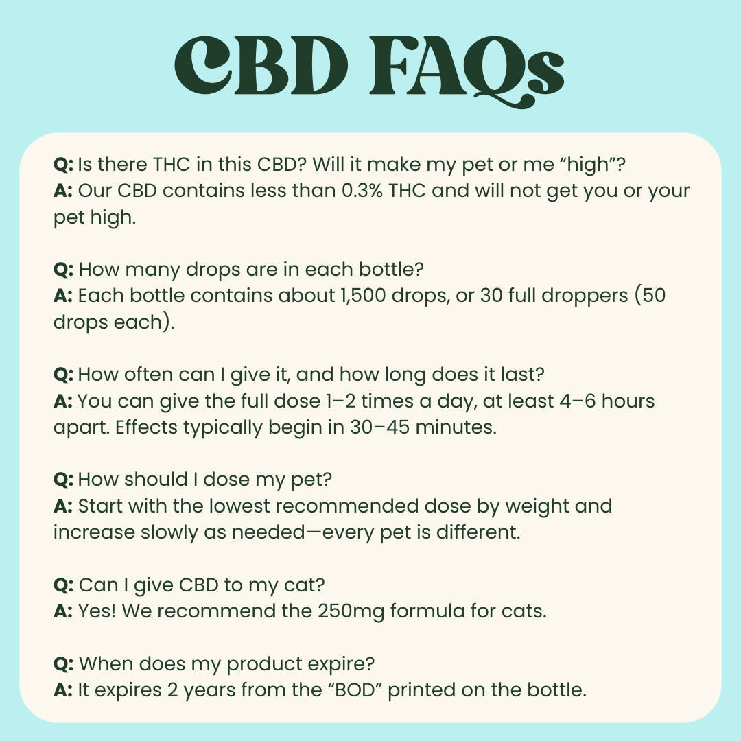 250mg CBD Oil | Calm + Comfort - for Pets