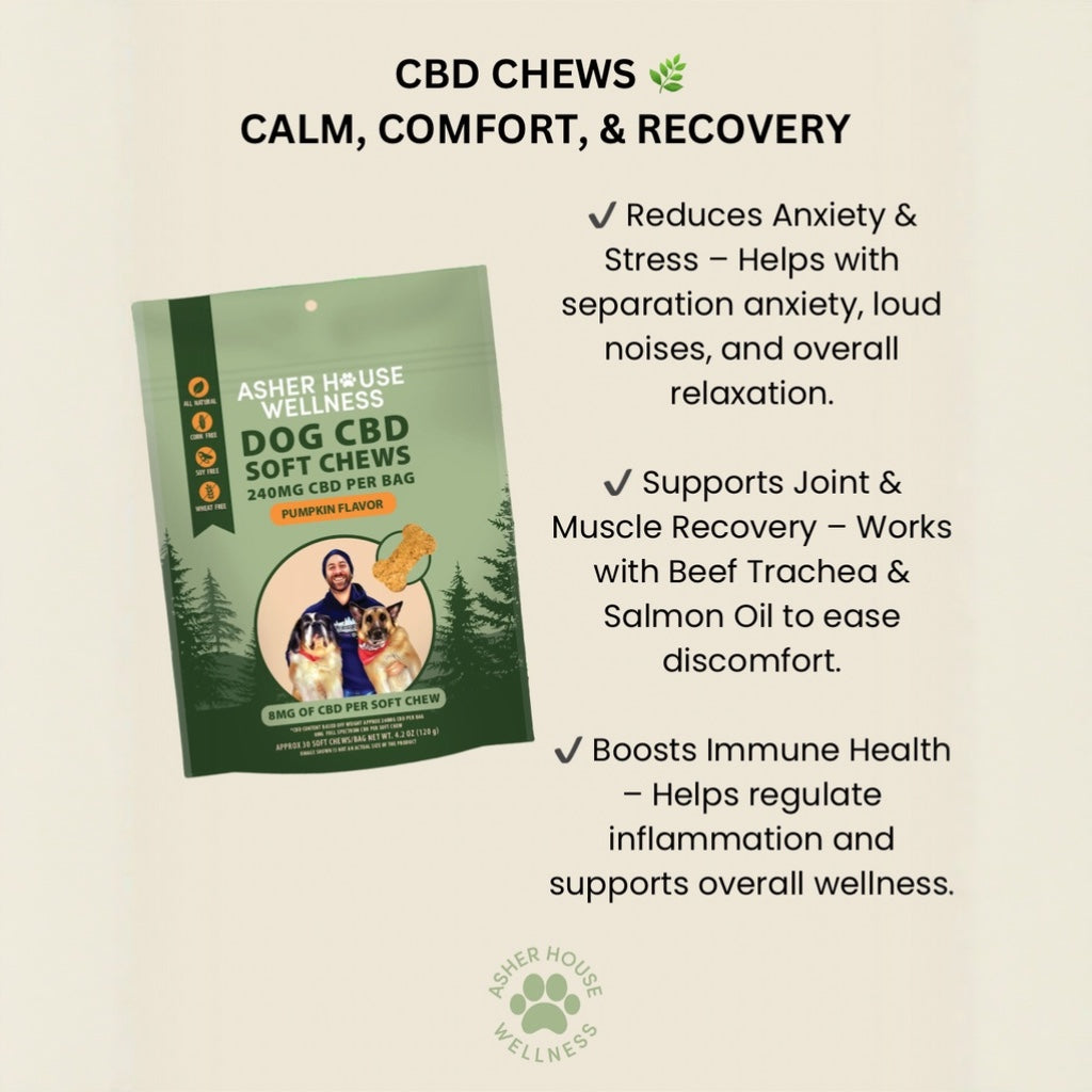 CBD Soft Chews | Calm + Comfort - for Pets