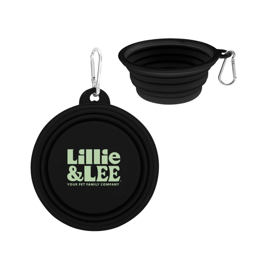 Collapsible Pet Bowl - Free Gift