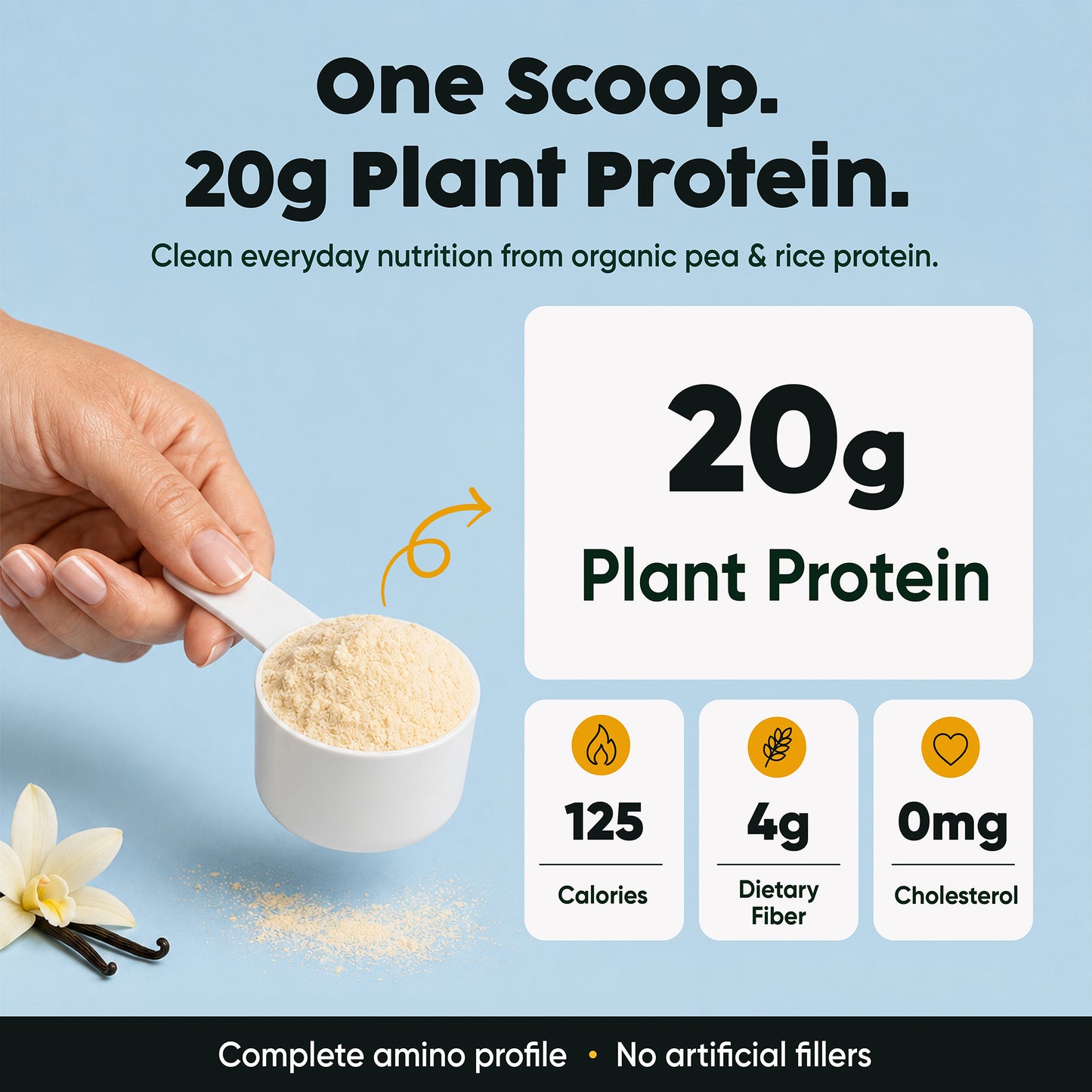 Vegan Protein Powder