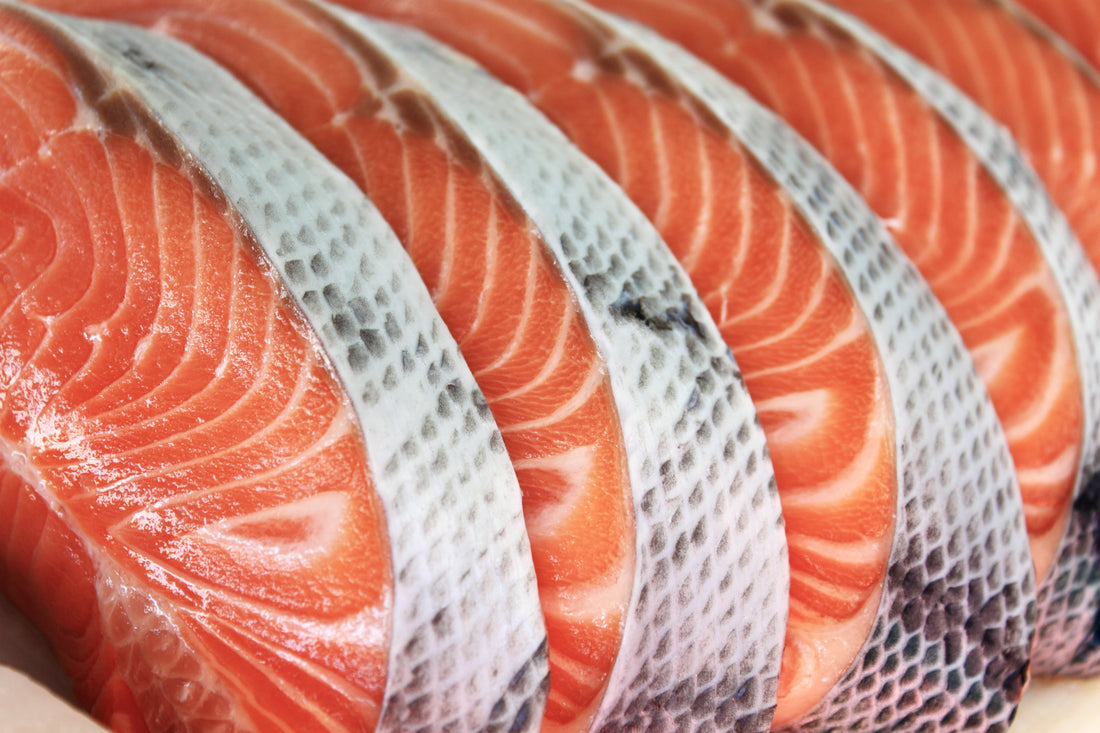 Enhancing Your Dog's Health with Salmon Oil, Hip and Joint Chews, and CBD Oil