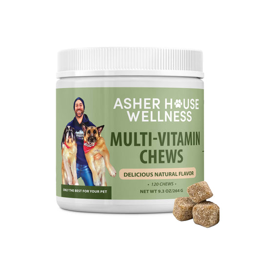 Asher House Wellness Multivitamin Chews Featured in Yahoo’s 2025 Holiday Gift Guide!