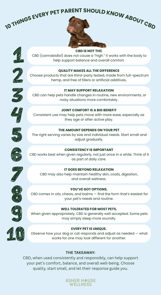 10 Things Every Pet Parent Should Know About CBD
