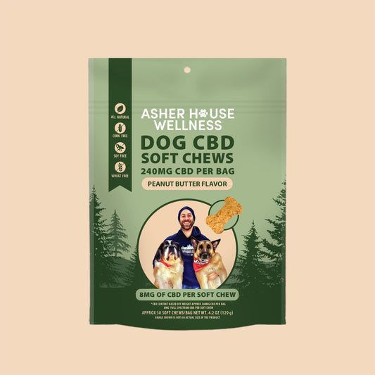 A Pampering Combo for Your Dog with CBD Balm and Flavorful Soft Chews