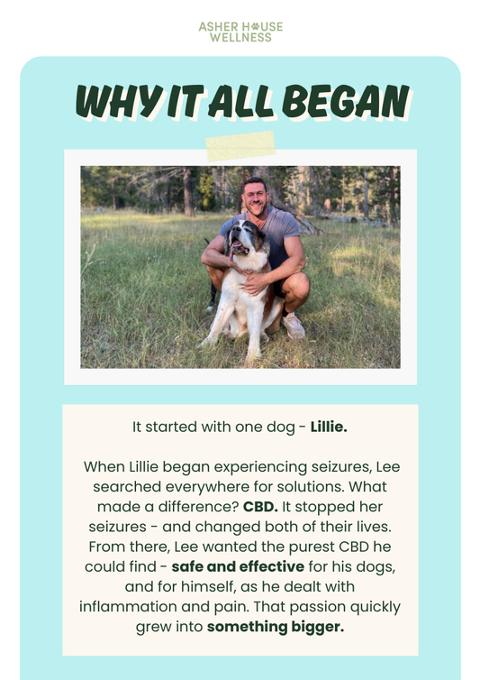 Why It All Began: The Story Behind Asher House Wellness