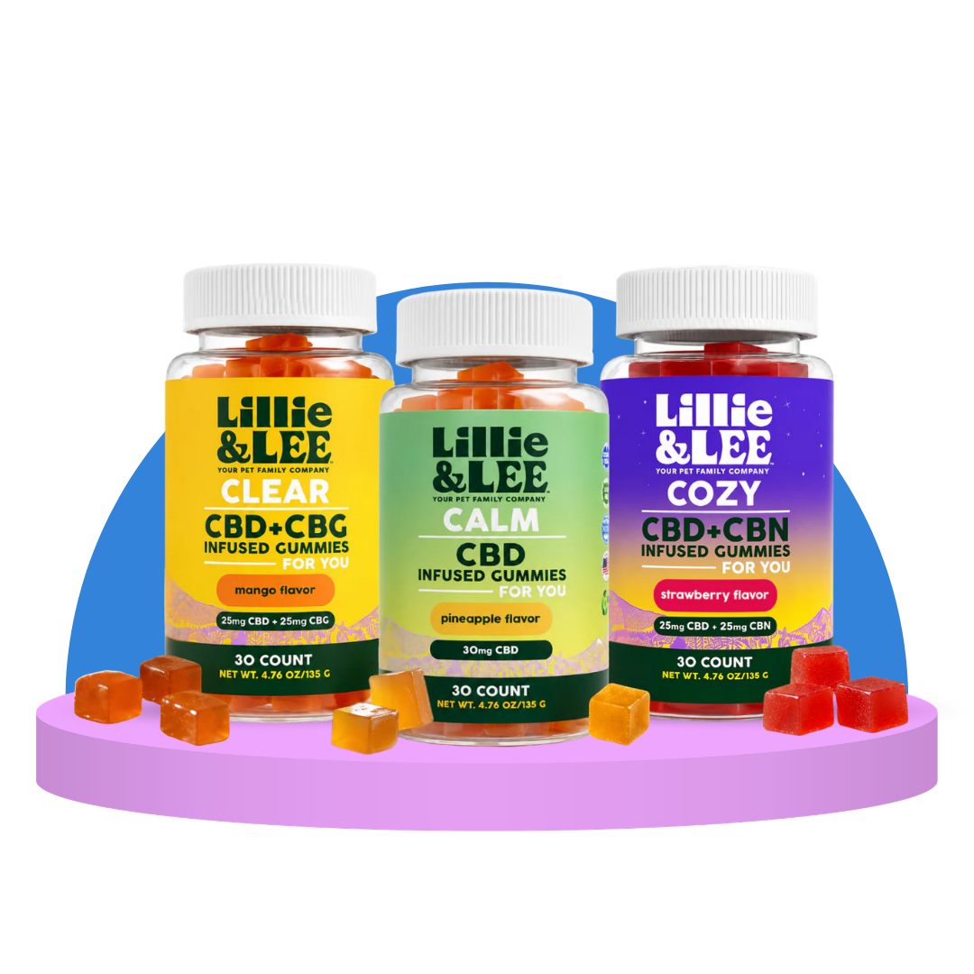 Your CBD Gummies: Start Here