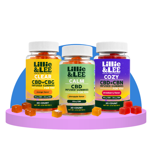Your CBD Gummies: Start Here