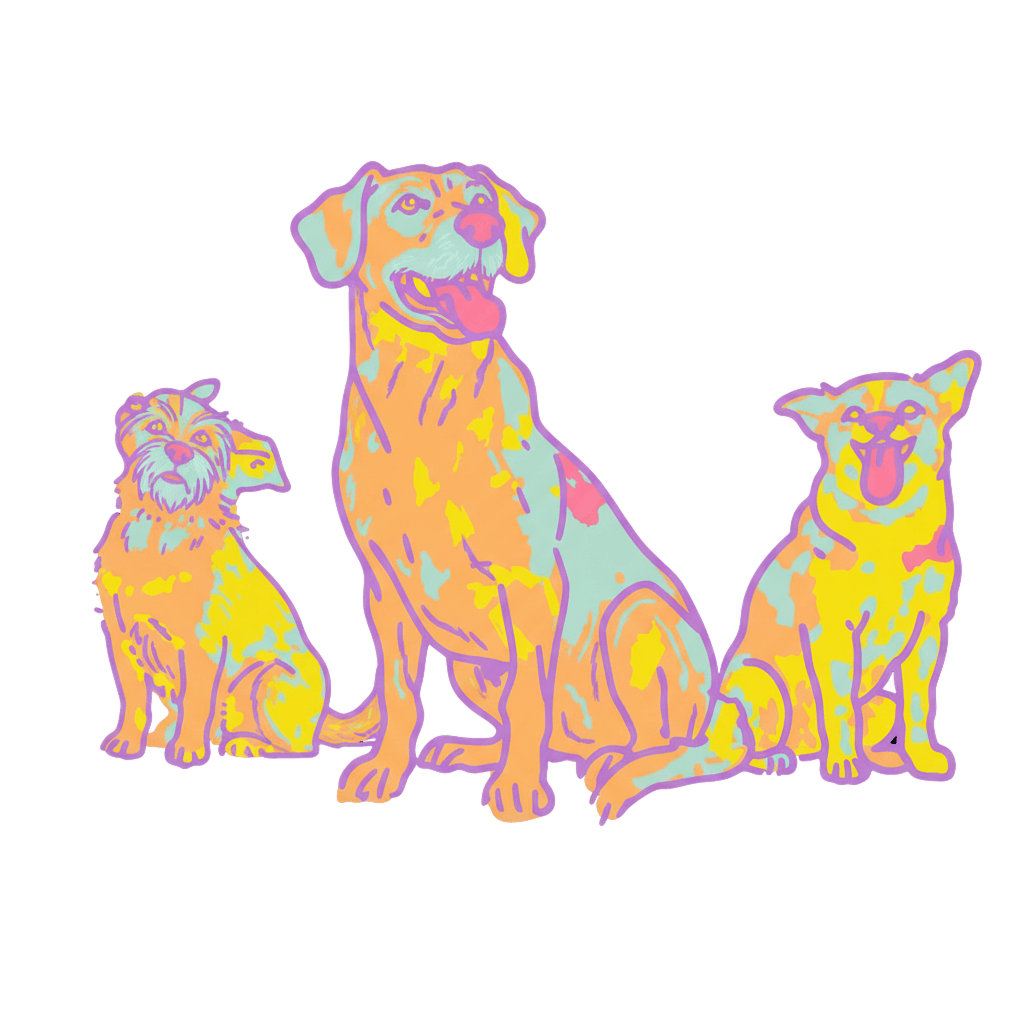 Cosequin vs Dasuquin for Dogs: Which Works Better in 2026?