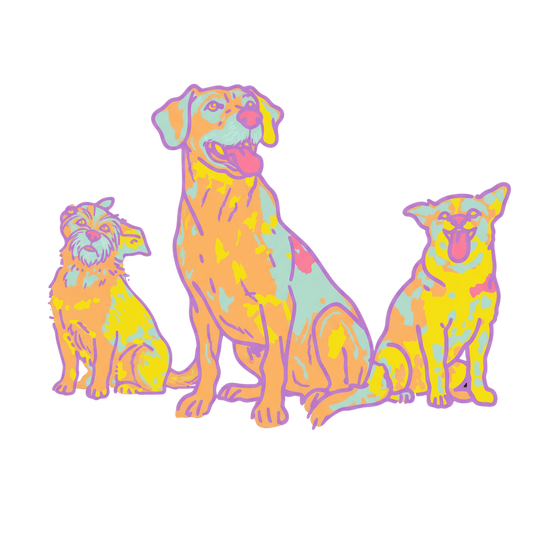 Cosequin vs Dasuquin for Dogs: Which Works Better in 2026?