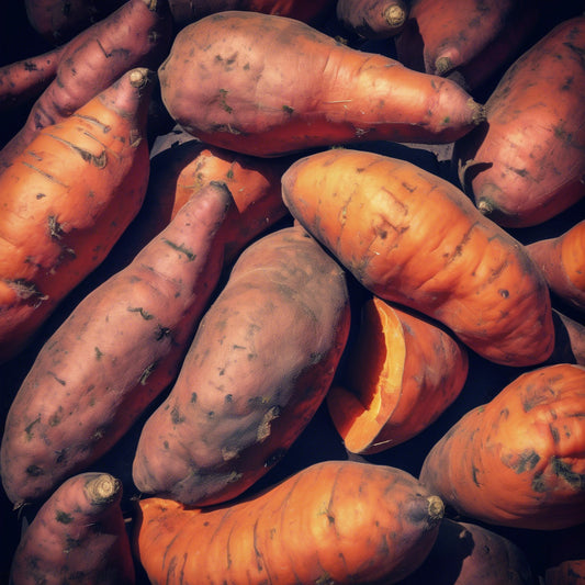 Sweet Potato Treats + Single-Ingredient Beef Trachea Chews: A Perfect Pairing for Health & Wellness