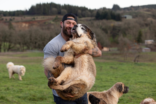 Lee Asher Featured in Forbes on the Urgent Threat of a Federal Hemp Ban