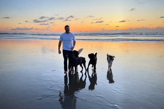 Lee Asher on How Rescuing Dogs Rescues Us