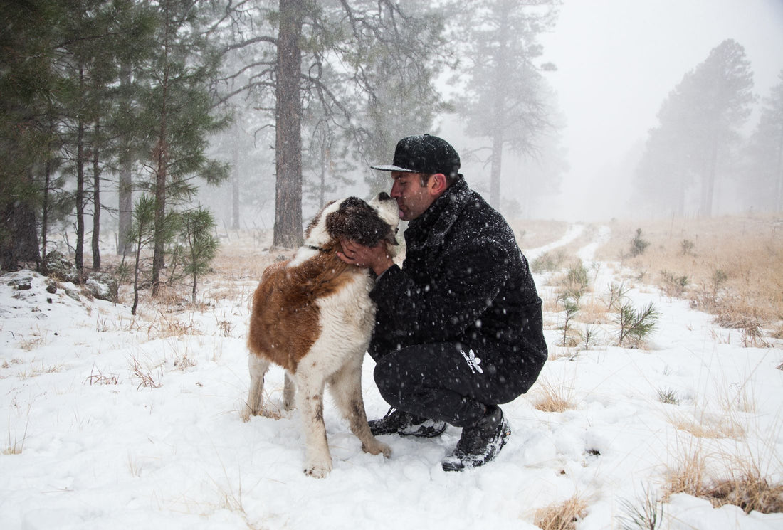 Asher House Wellness: A Holistic Approach to Pet and Human Health