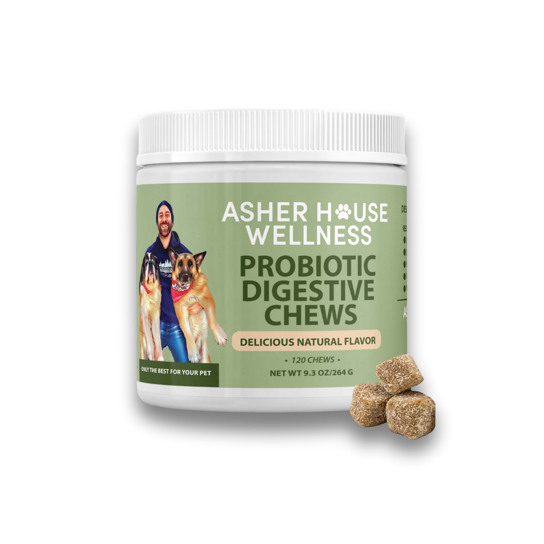 A Thoughtful Holiday Gift: Our Probiotic Digestive Chews Featured by Yahoo