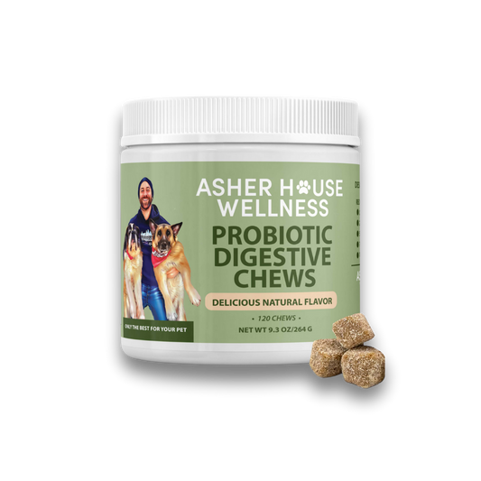 A Thoughtful Holiday Gift: Our Probiotic Digestive Chews Featured by Yahoo