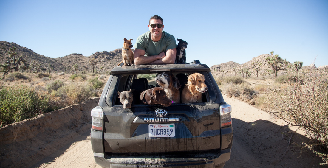 Newsweek Spotlights Lee Asher — One Dog's Journey from Survival to Joy