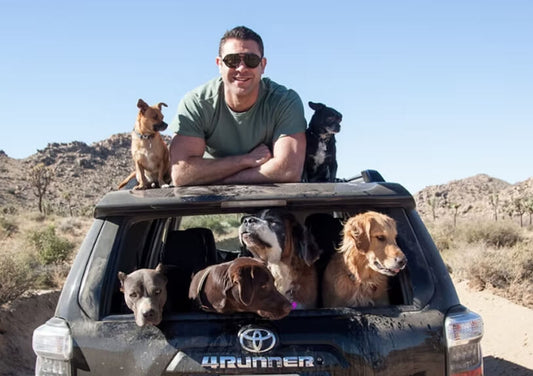 Lee Asher’s Rescue Story Featured in Newsweek — The Heart Behind Asher House Wellness
