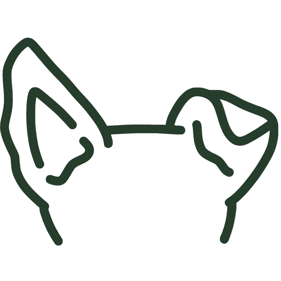 How to Prevent Dog Ear Infections: 7 Vet-Backed Steps