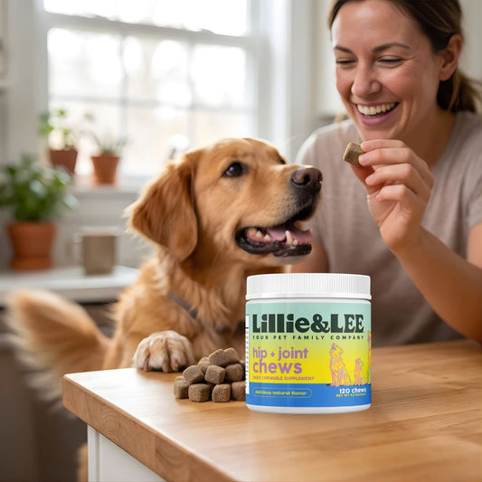 Daily Supplements for Pets