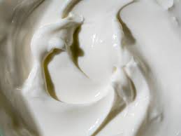 Best Probiotics for Dogs: 2026 Vet-Backed Guide