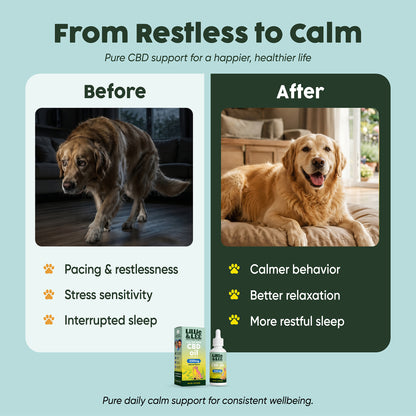 250mg CBD Isolate Oil - For Pets