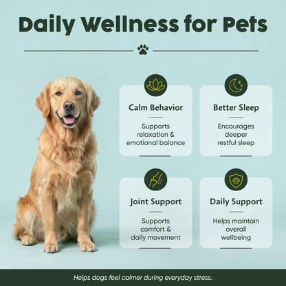250mg CBD Isolate Oil - For Pets