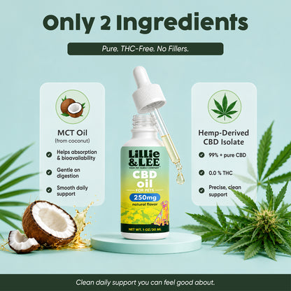 250mg CBD Isolate Oil - For Pets