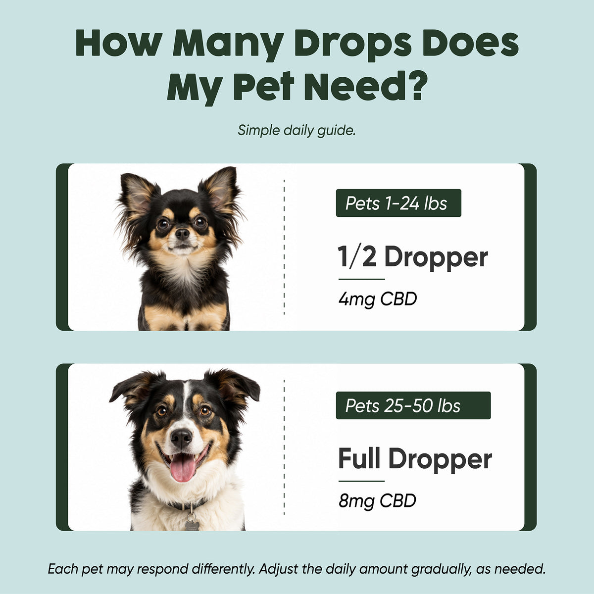 250mg CBD Isolate Oil - For Pets