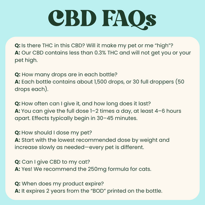 250mg CBD Oil | Calm + Comfort - for Pets