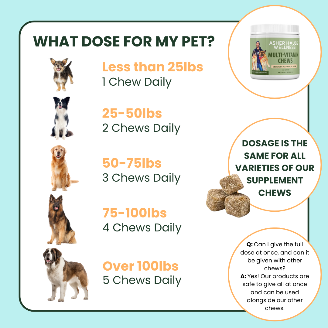 Skin & Coat Chews | Luster + Nourish