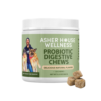 Probiotic Digestive Chews | Flora + Flourish
