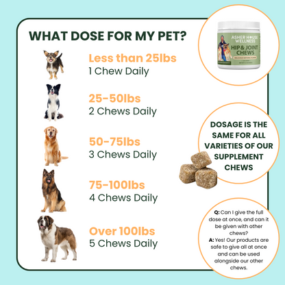 Hip & Joint Chews | Flex + Relief