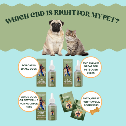 750mg CBD Oil | Calm + Comfort - for Pets