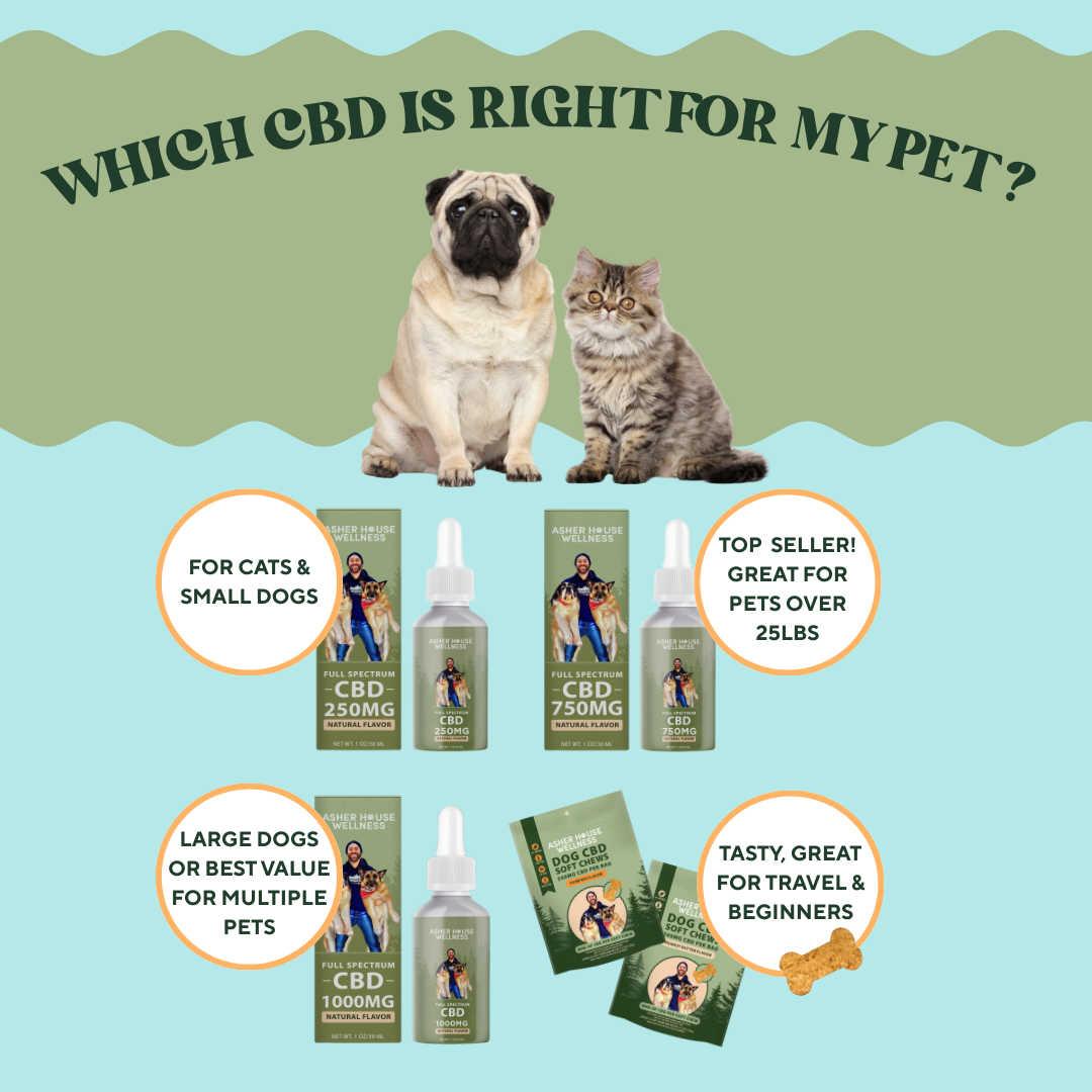 1000mg CBD Oil | Calm + Comfort - for Pets