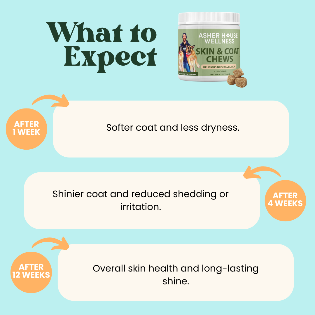 Skin & Coat Chews | Luster + Nourish