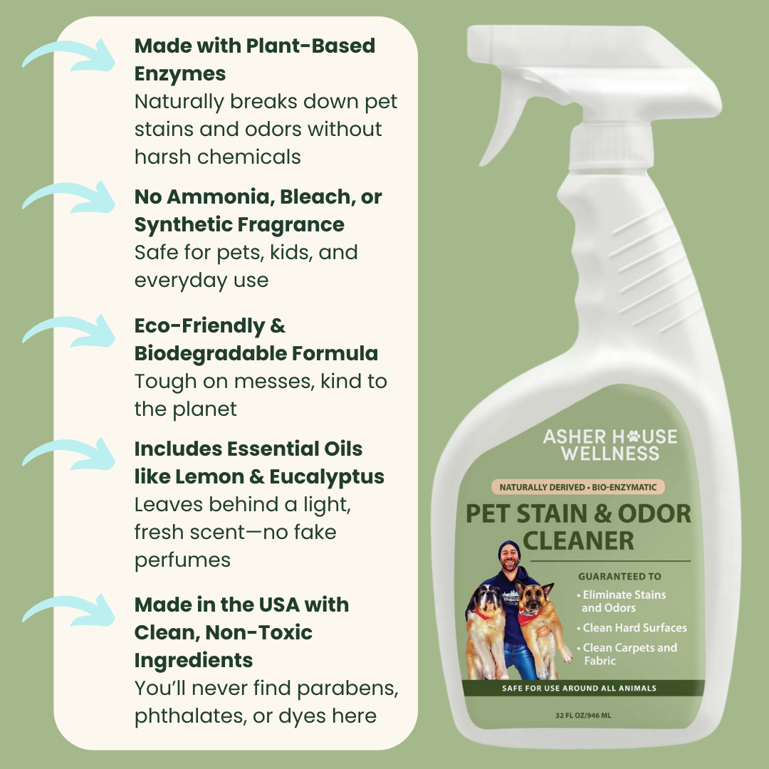Pet Stain & Odor Cleaner