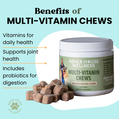 Multi-Vitamin Chews | Energy + Defense
