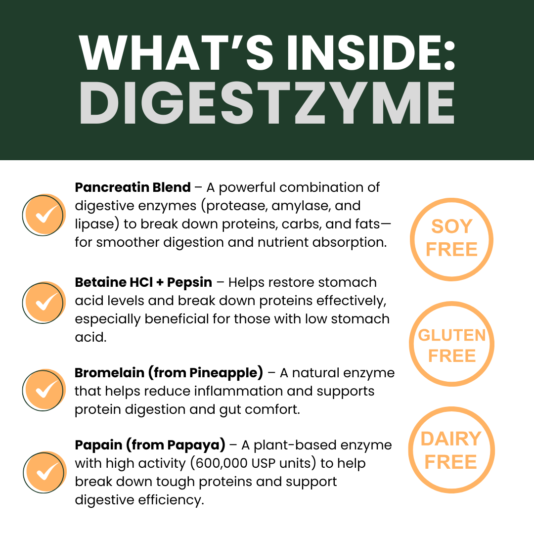 Digestzyme | Digest + Comfort