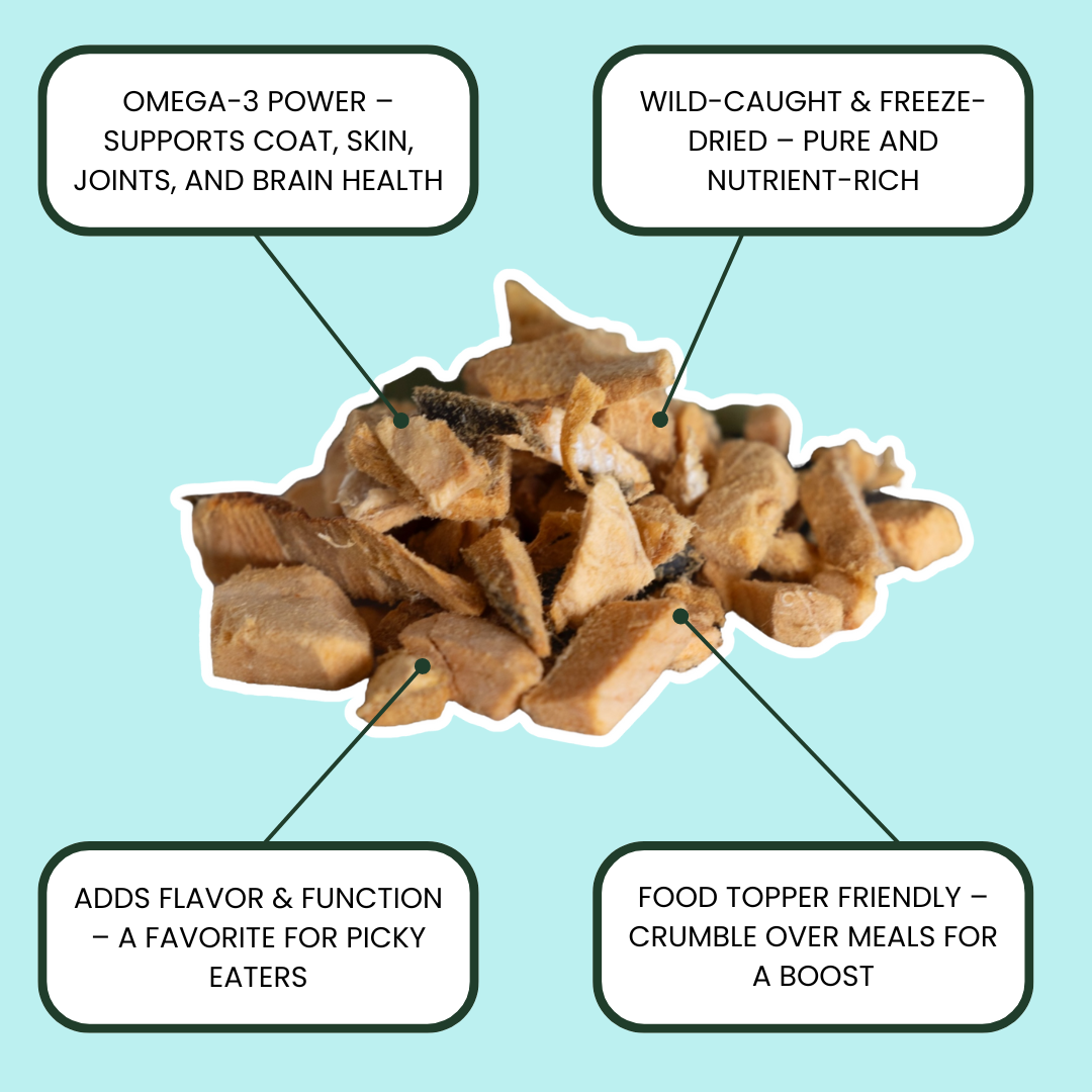 Wild Salmon Treats | Brain + Coat