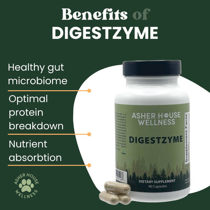 Digestzyme | Digest + Comfort