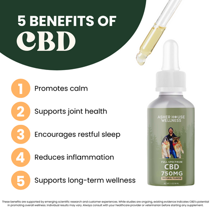 CBD Soft Chews | Calm + Comfort - for Pets