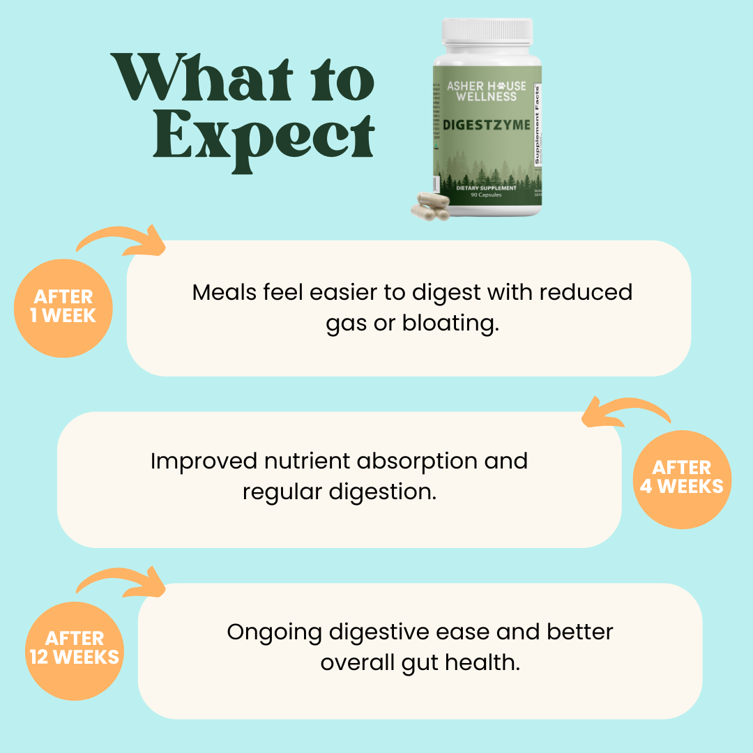 Digestzyme | Digest + Comfort