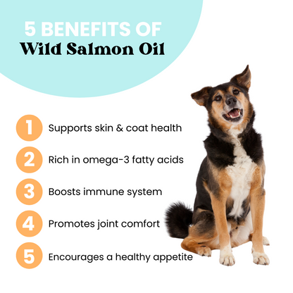 Wild Alaskan Salmon & Pollock Oil | Brain + Heart - for Pets