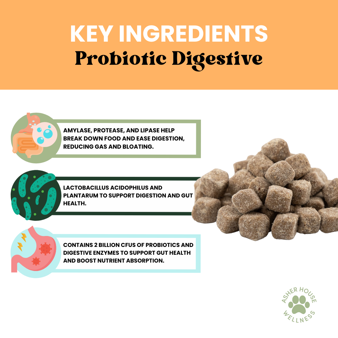 Probiotic Digestive Chews | Flora + Flourish