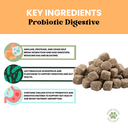 Probiotic Digestive Chews | Flora + Flourish