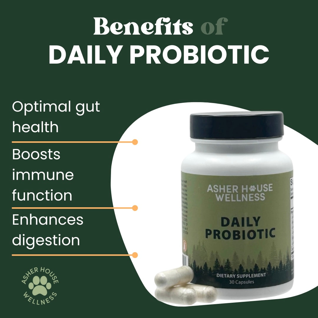 Daily Probiotic | Digest + Defense