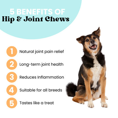 Hip & Joint Chews | Flex + Relief