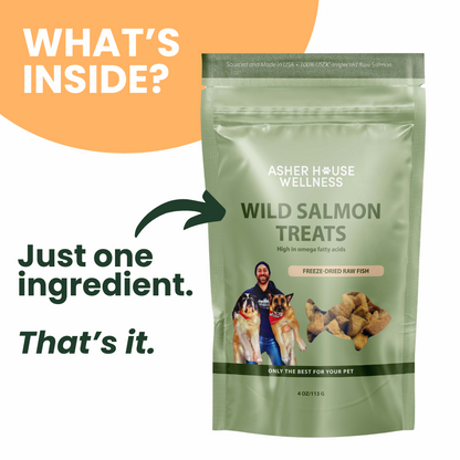 Wild Salmon Treats | Brain + Coat