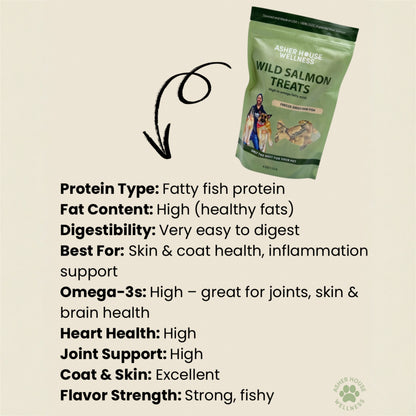 Wild Salmon Treats | Brain + Coat